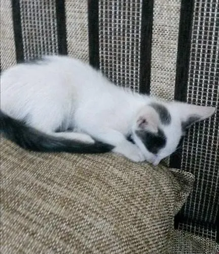 Отель Grand Vizon